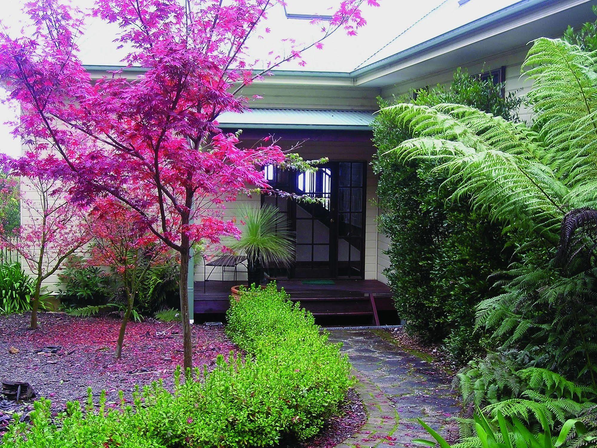 Valley Of The Waters B&B Wentworth Falls Exterior foto