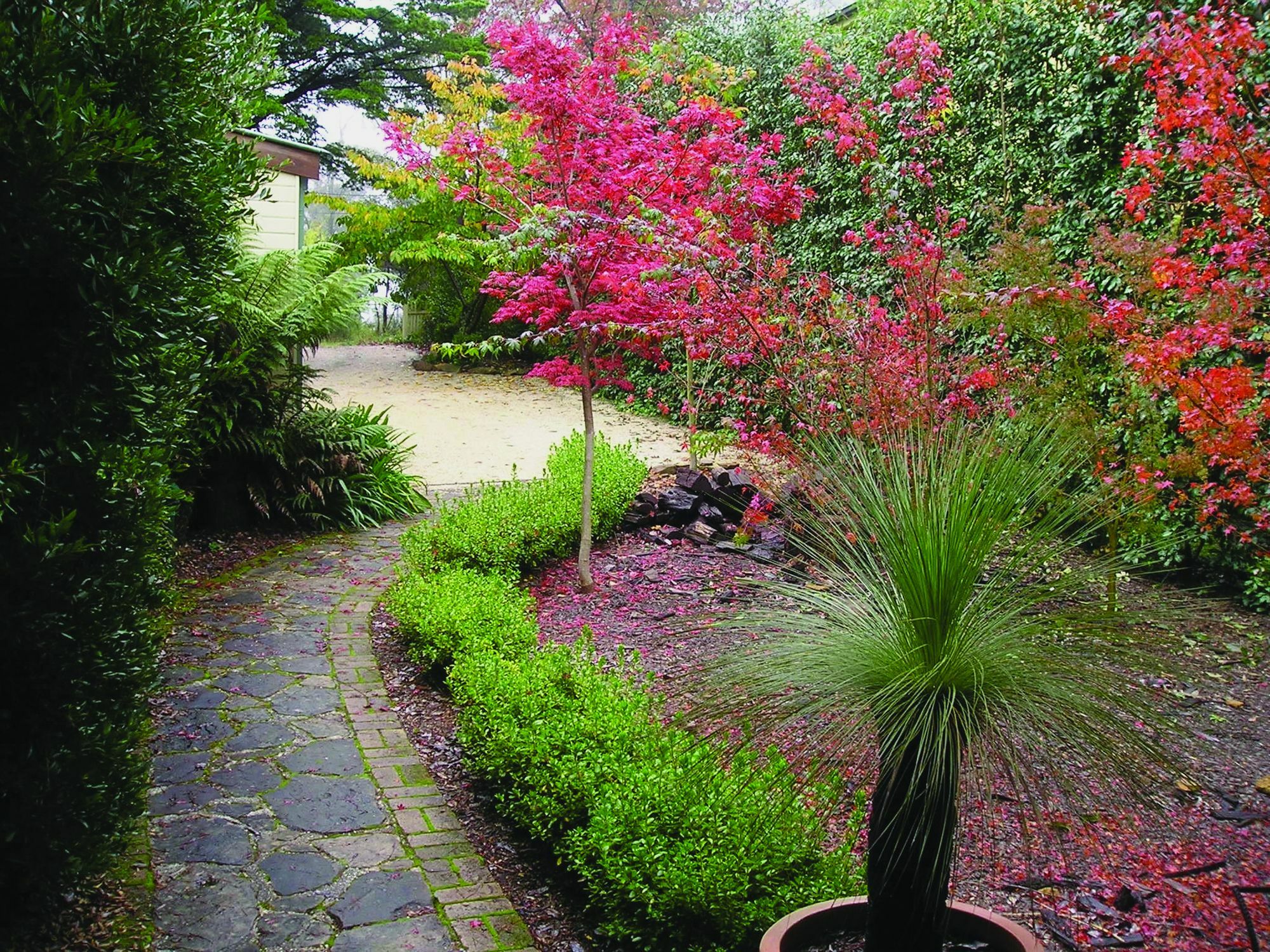 Valley Of The Waters B&B Wentworth Falls Exterior foto